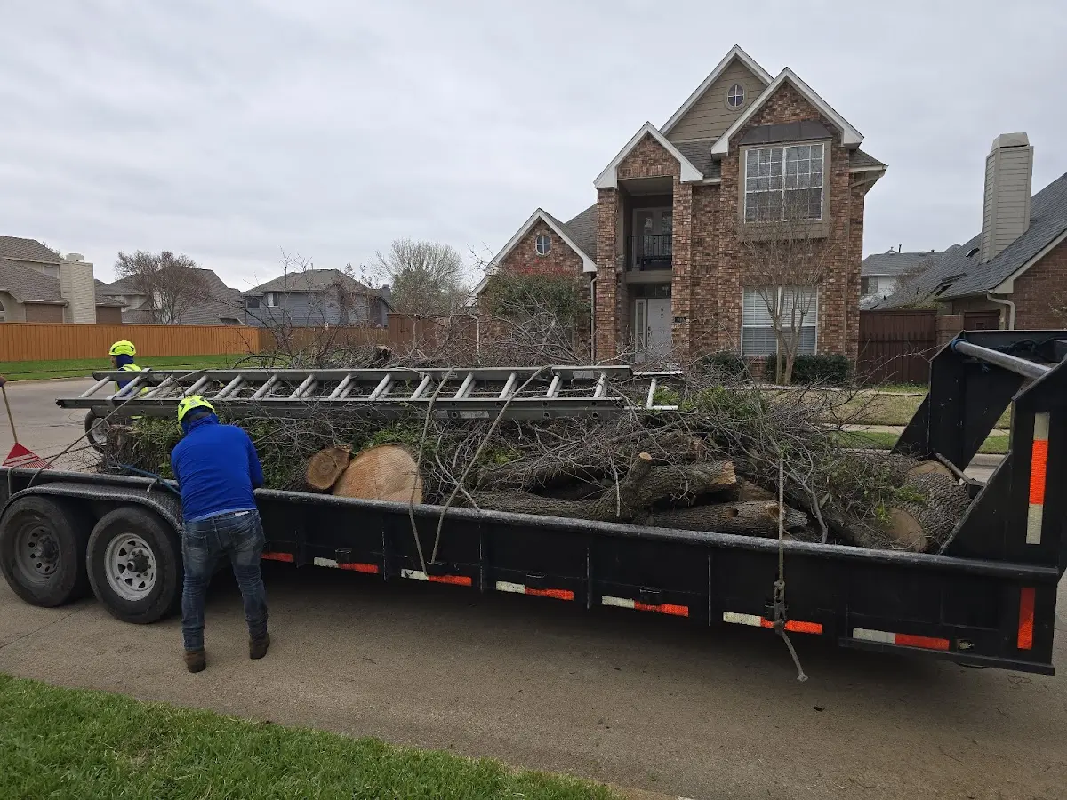 Expert Lot Clearing with proper safety equipment in Nerstrand